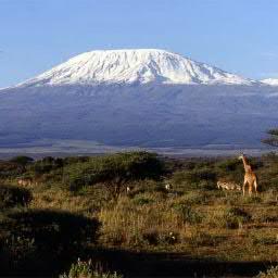 Tour and Climb Mount Kilimanjaro in Tanzania