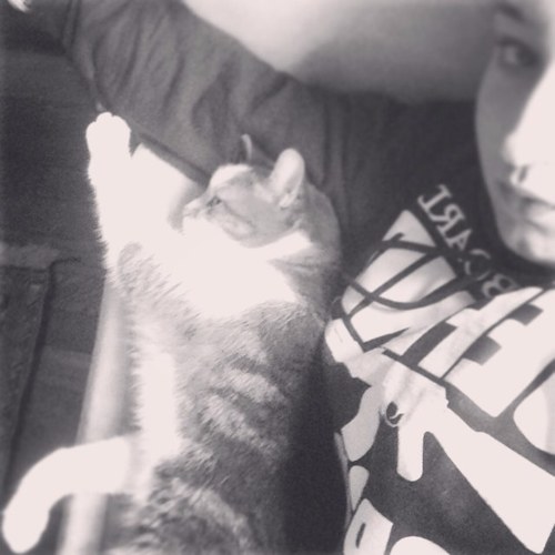 allegra_louise Profile Picture