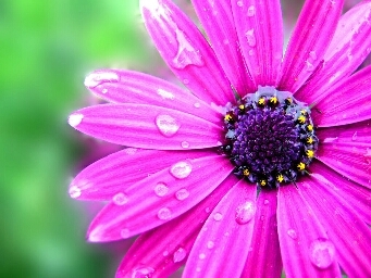 Every day may not be good, but there's something good in every day.