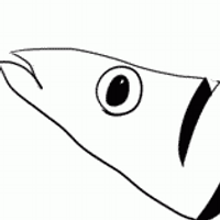 はぐれけだま【3】 (@hagure_g) 's Twitter Profile