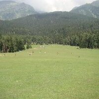 dev jariwala (@devjariwala2) 's Twitter Profile