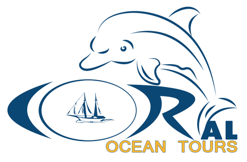 Organizing Dolphin Watching Trips, Private Yacht Charter-
For Booking GSM: +968 94110088