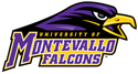 University of Montevallo Compliance Office - Go Falcons!