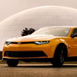 TF4Bumblebee Profile Picture