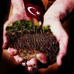 SON ırmak kuruduğunda, SON ağaç yok olduğunda, SON balık öldüğünde; beyaz adam paranın yenmeyen birşey olduğunu ANLAYACAK.
