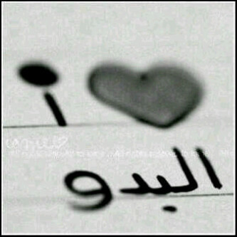 Bb:27F9156D