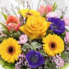 JFlowers2013's profile picture. At Josephines, each floral arrangement is individually created to suit the customer's style, requirements and budget.