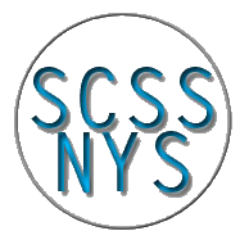 SCSS_NYS's profile picture. When we're not seeking therapy for our Coulrophobia (extreme fear of clowns) we are developing new ways to get our clients ahead of the curve!