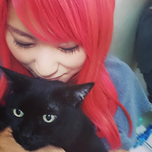 Konomi_catdog's profile picture. 日本→インド2年→日本
2017年現在ワンニャンライフを満喫中。また、再開しますが、ツイッターしばらくお休みします！