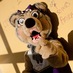 Holly the Husky (@hollythehusky) Twitter profile photo Holly the Husky (@hollythehusky) Twitter profile photo