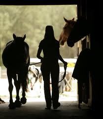 Shit working students, barn junkies, horseback riders, and show bizzers say. All in one, yabish. #DaysOfOurLives #ShitEqsSay #PoniesForLife
