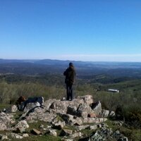 salvarbolesavdaelvas (@salvarbolesavda) 's Twitter Profile