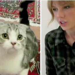 Heyyoo! Sav Here, I Am #TeamSwiftie All The Way, So If You're A Swiftie Follow Me, I Follow Back :) #Byee