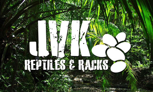 Reptile rack builder, UK Based Hand made racks, ball python breeder,