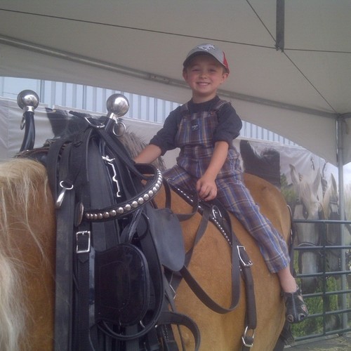 MikeinCanada's profile picture. 