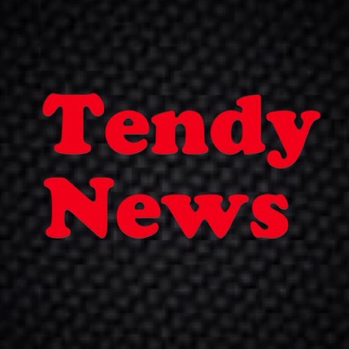 Follow for Transactions, news, updates and more from Tendys around the NHL,AHL,ECHL,WHL,QMJHL,OHL,KHL. Account is managed by @pauljanes31 and @Aaron_Goldy