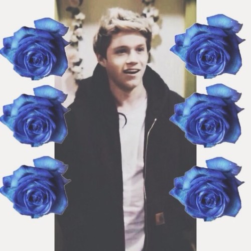 i saved this dont u dare steal it bUr