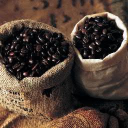 Sales of roasted and unroasted coffee beans