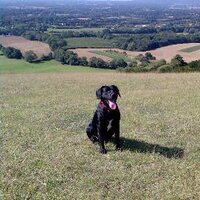 Clive Osgood (@cliveosgood) 's Twitter Profile
