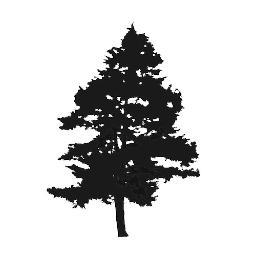 Spruce Pine Main Street is a non-profit organization affiliated with @NatlMainStreet working to revitalize downtown Spruce Pine, North Carolina.