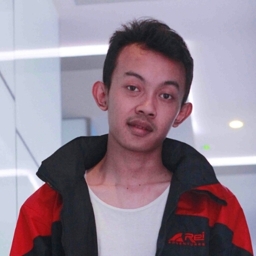Ledhis