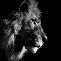 abeb3000's profile picture. ‏‏‏اللهم ارزقني البصيره لاعرف الحق وارزقني الاراده لاتبعه وارزقني القوة لاحميه..!!