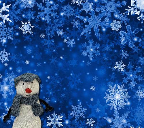 This is the Official twitter page of the 2014 Christmas Movie Can you smell Carrots? By Lee.C.Gomm & Jim Birmingham