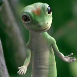 GeckoNews's profile picture. GECKO PRIDE YA'LL. Here's the info you need to know about any upcoming events, or campbell themed endeavours.