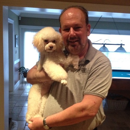 George Barish is one of Palm Beaches top dog trainers and is the CEO of Your Best Paw Forward.