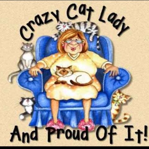 teenaged cat lady follow me for the dailey struggles of being a cat lady