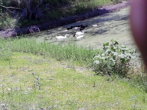 openooner's profile picture. 