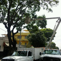 Gustavo Hernandez (@alumbradomh) 's Twitter Profile