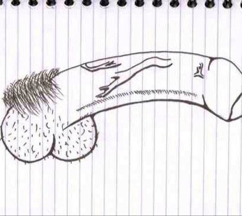 Daily update of newspaper pictures that have been altered with cocks. We all do it, tweet your cock drawings and the best ones will be retweeted.