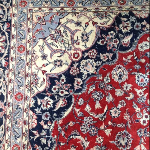 pandalove947's profile picture. 