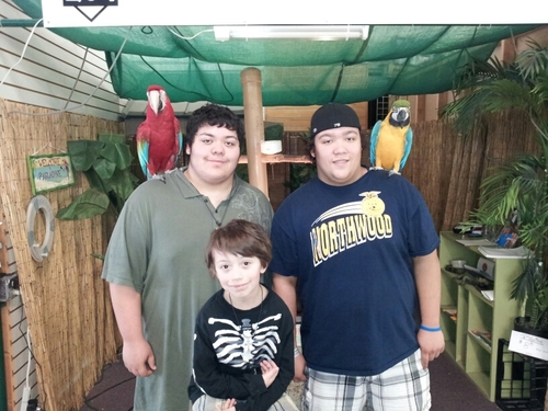 pjamasoncity's profile picture. 