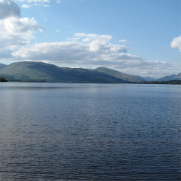 pk_oneill's profile picture. 