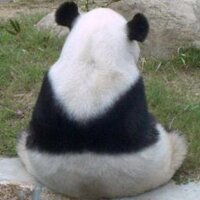 グラットン (@glutton122) 's Twitter Profile