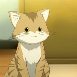 Fanático del anime y manga, j-rock, j-metal y, en algunos casos, j-pop.
