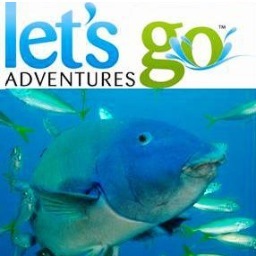 Scuba Diving, Freediving, Snorkelling, Boat Licences. 

4981-4331
fun@letsgoadventures.com.au