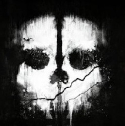I am a PS3 Competative player. My favourite Black Ops II Weapon is the Skorpion Evo. Current PSN ID is ImObj-