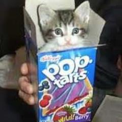 Follow the owner of this train @nightmareonTLs and @irapepoptarts