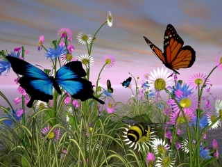 Picture