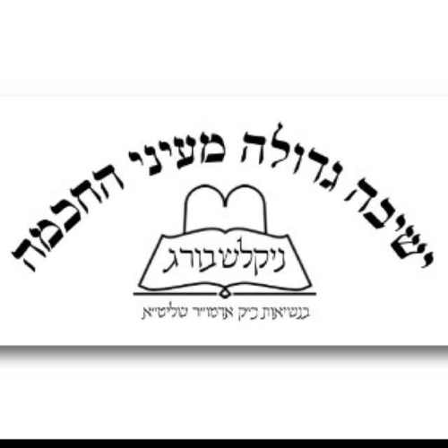 all about the NIKOLSBURG YESHIVA ~To report a simcha, pls feel free & text to nixyeshiva@gmail.com~ thanks. Should we share #onlySimches.