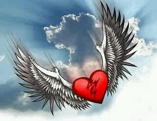 Sigueme y te sigo