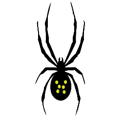 spydercomposite's profile picture. Carbon Bike & Wheel Repair