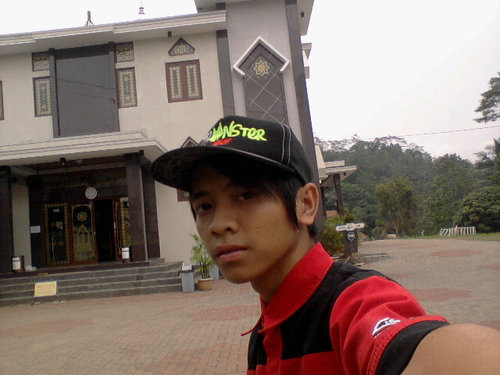 kodok