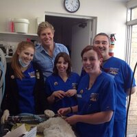 BondiJunction Vet(@bjvet) 's Twitter Profile Photo