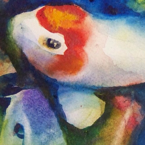 cly753's profile picture. 