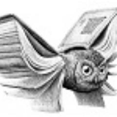 UmnikiiumnicA's profile picture. 😍