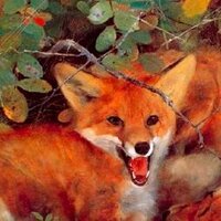 Dana Kopp Franklin (@dkfranklin) 's Twitter Profile